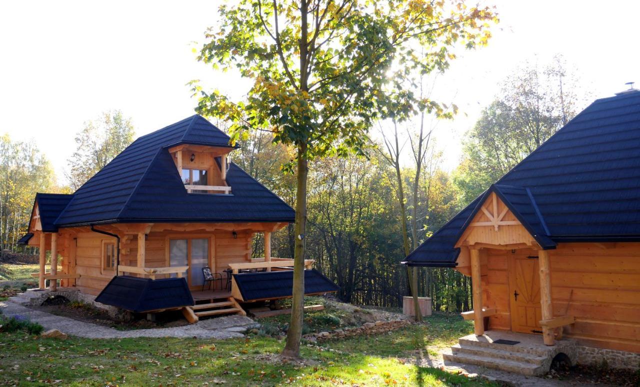Osada Sudecka Villa Ladek-Zdroj Ngoại thất bức ảnh